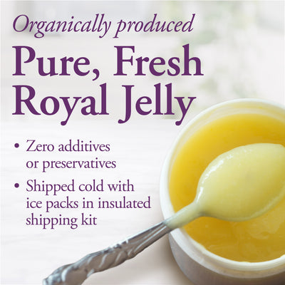 Organic Fresh Royal Jelly 1 kg - DUTCHMAN'S GOLD