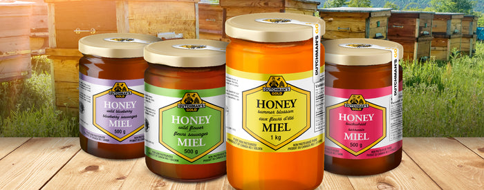 THE HONEY HARVEST: A TIME TO CELEBRATE THIS NUTRITIONAL POWERHOUSE