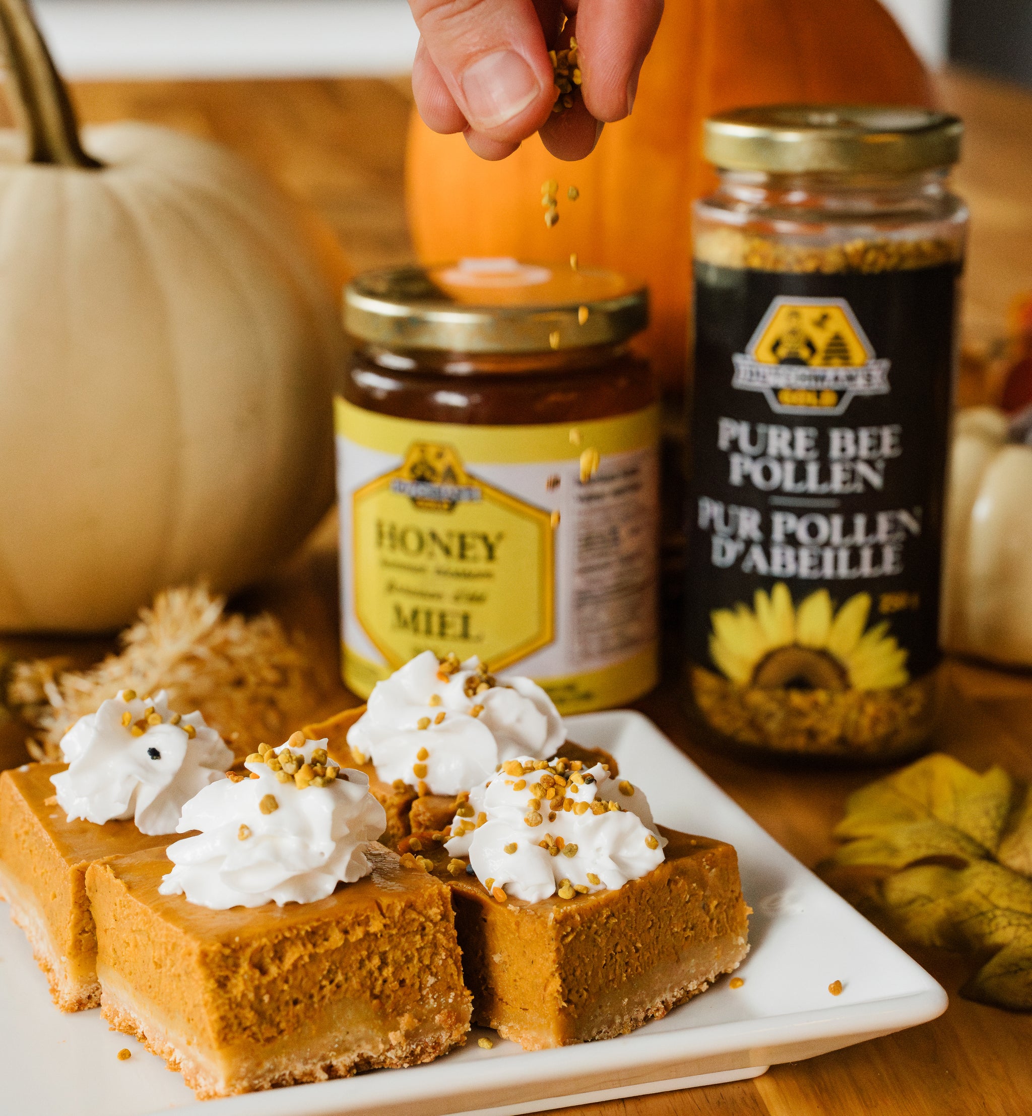 Bee Pollen Pumpkin Squares