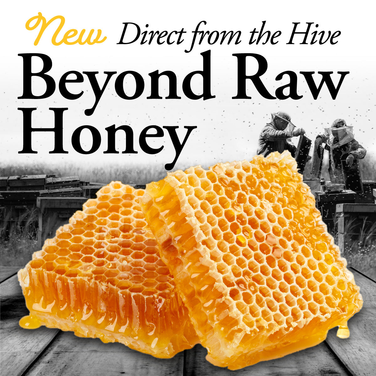 Pure and Natural Beyond Raw Honey - Dutchman's Gold - DUTCHMAN'S GOLD