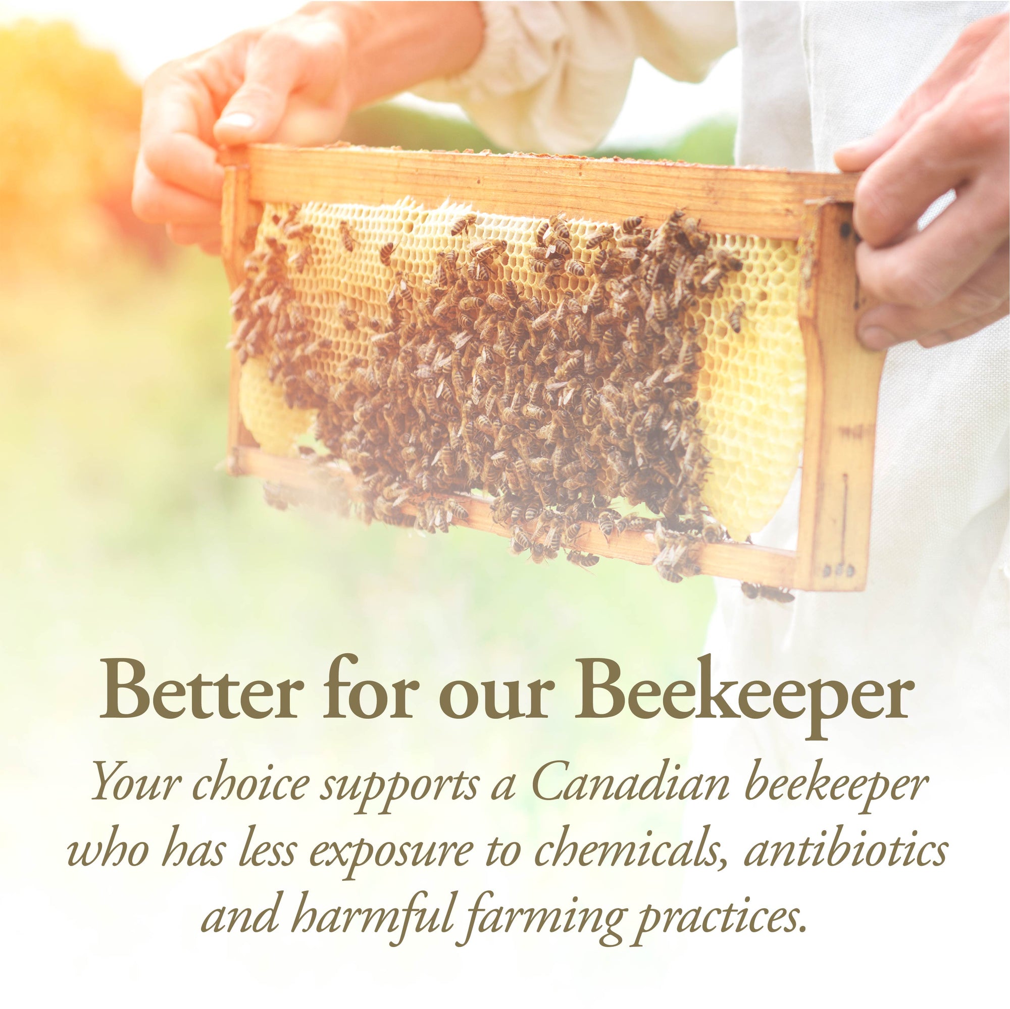 Organic Raw Honey 330 g