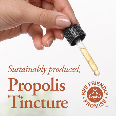 Propolis Tincture - Alcohol Free 50 ml