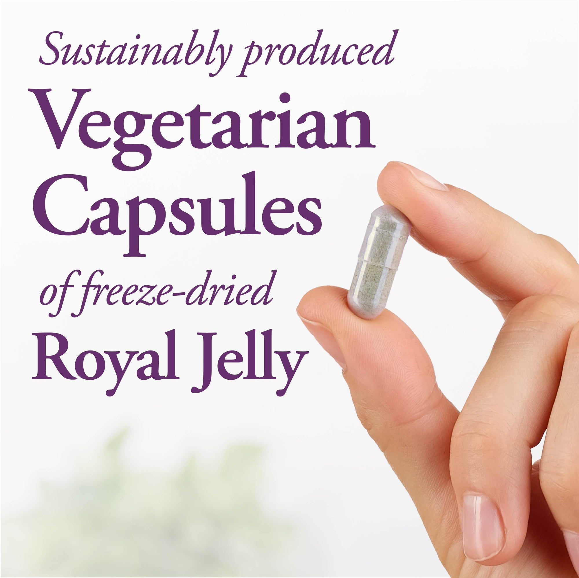 Royal Jelly Capsules 1000 mg