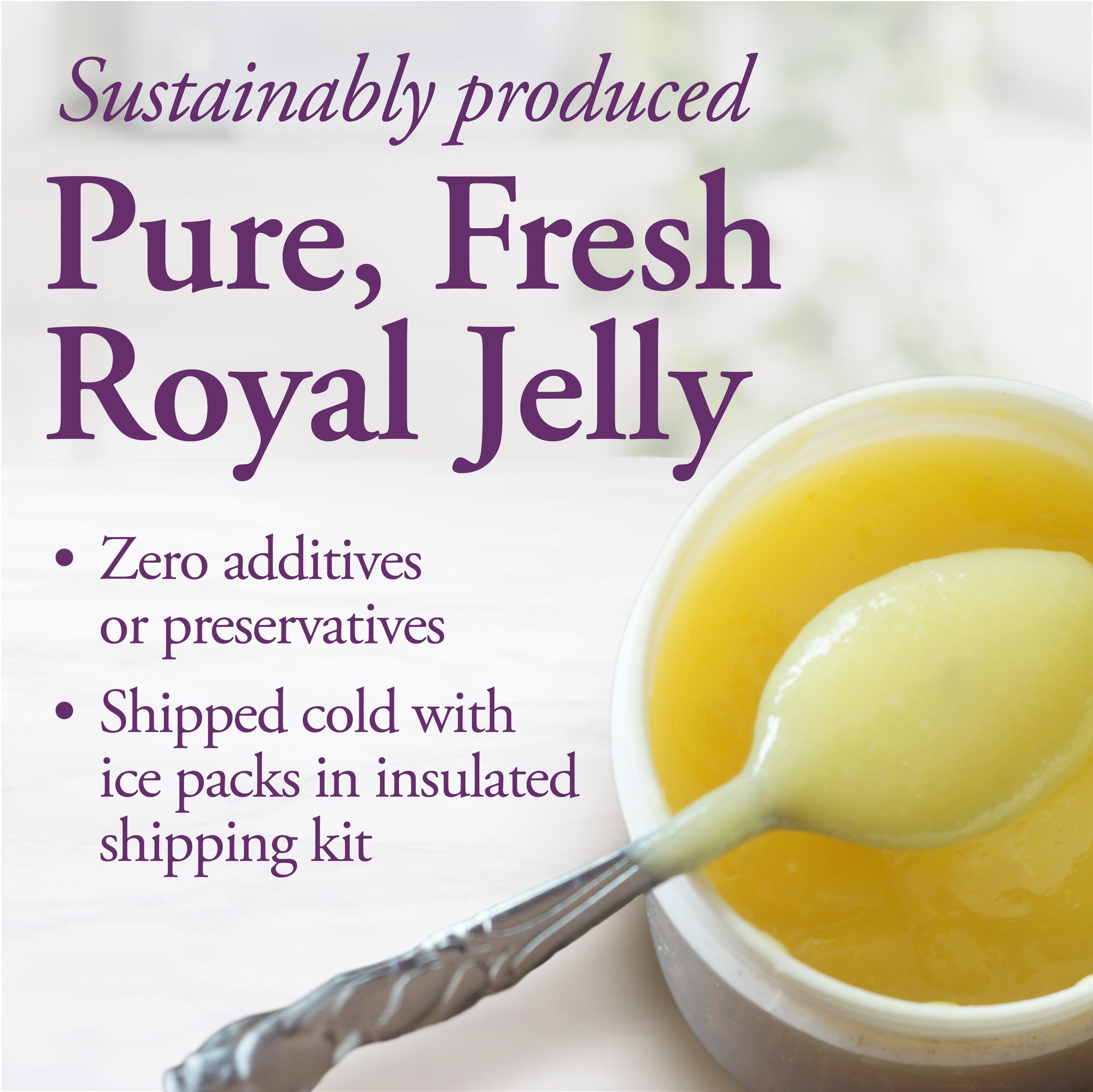 Fresh Royal Jelly