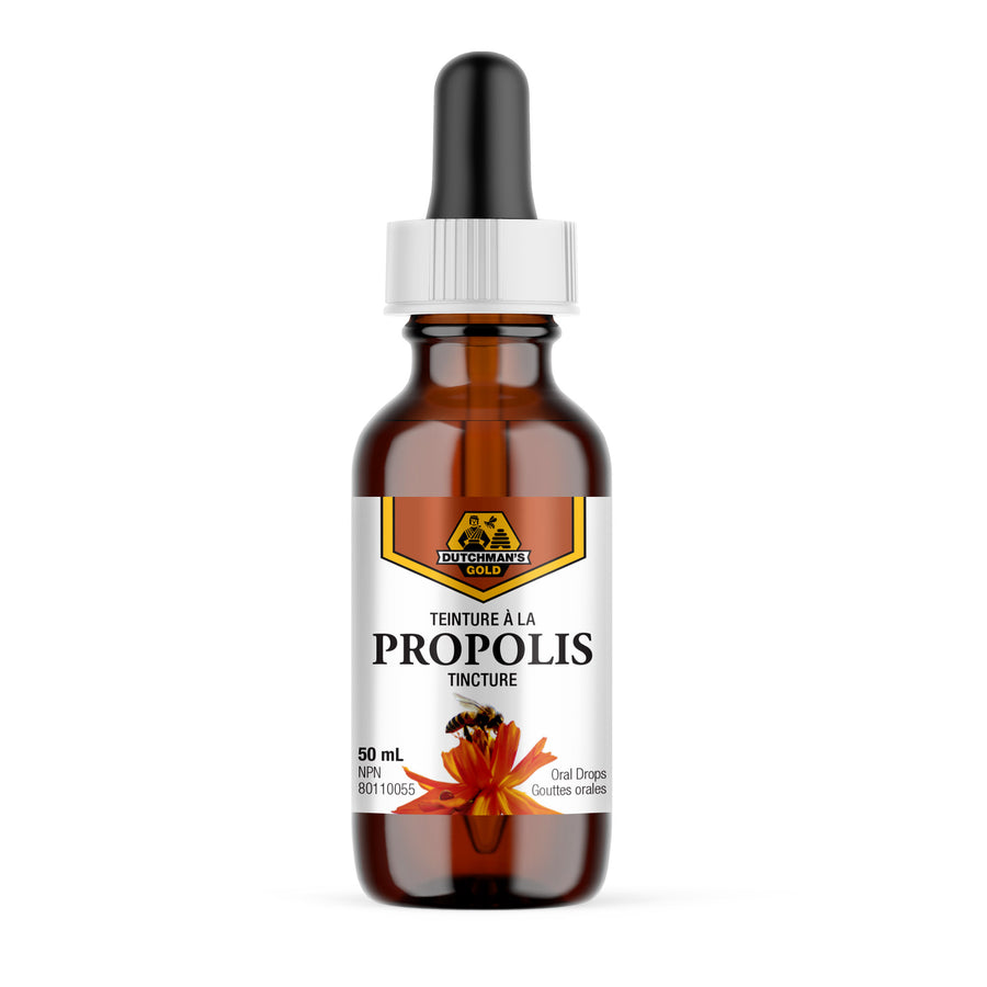 Bee Propolis - DUTCHMAN'S GOLD